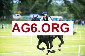 追梦喊话艾顿：年薪800万已决定定位 在卢卡身边扮演卡佩拉很有益