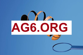 官方：国安签下28岁葡萄牙后卫拉莫斯，球员此前效力德甲汉堡队